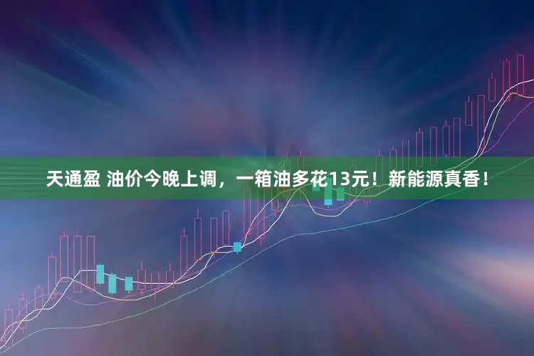 天通盈 油价今晚上调，一箱油多花13元！新能源真香！