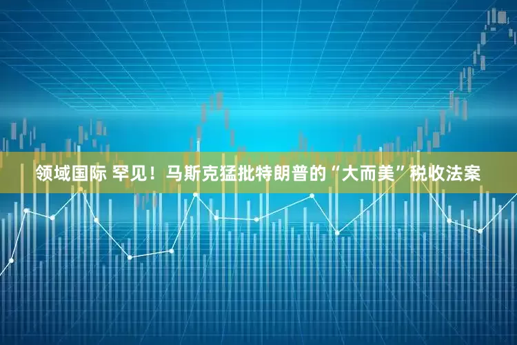 领域国际 罕见！马斯克猛批特朗普的“大而美”税收法案