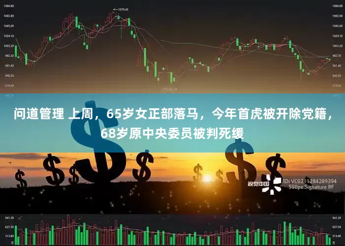 问道管理 上周，65岁女正部落马，今年首虎被开除党籍，68岁原中央委员被判死缓