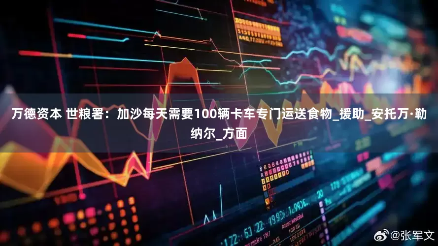 万德资本 世粮署：加沙每天需要100辆卡车专门运送食物_援助_安托万·勒纳尔_方面