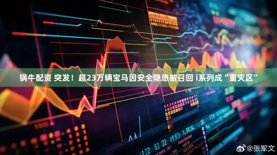 锅牛配资 突发！超23万辆宝马因安全隐患被召回 i系列成“重灾区”