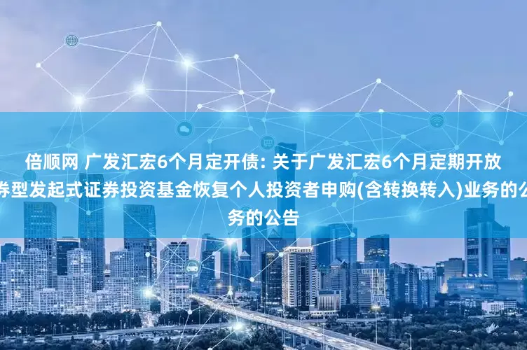 倍顺网 广发汇宏6个月定开债: 关于广发汇宏6个月定期开放债券型发起式证券投资基金恢复个人投资者申购(含转换转入)业务的公告