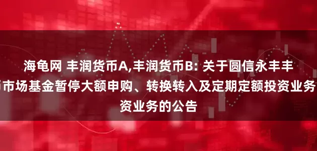 海龟网 丰润货币A,丰润货币B: 关于圆信永丰丰润货币市场基金暂停大额申购、转换转入及定期定额投资业务的公告