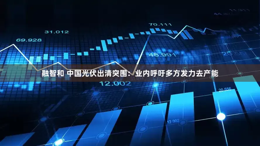 融智和 中国光伏出清突围：业内呼吁多方发力去产能