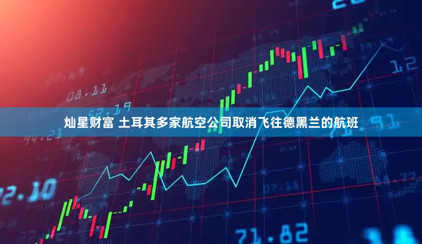 灿星财富 土耳其多家航空公司取消飞往德黑兰的航班